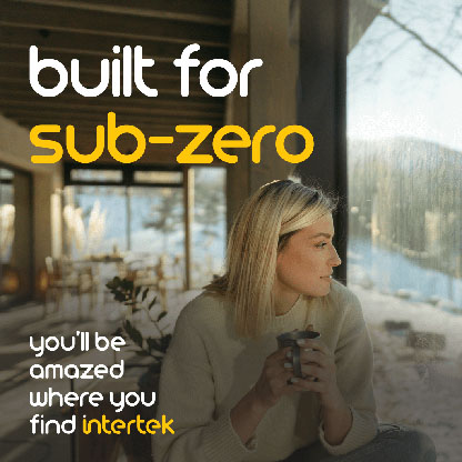 A woman looking out at a wintry scene from inside her house